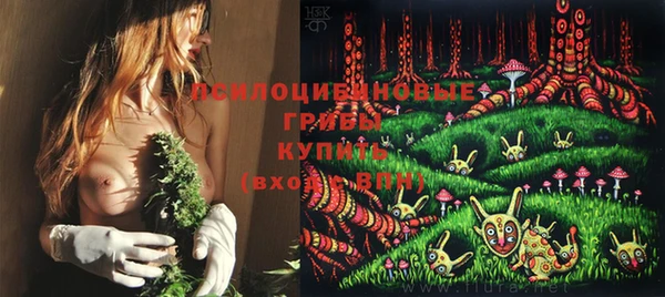 прущая мука Алзамай