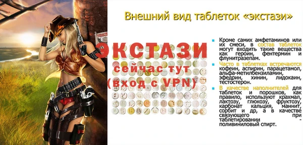 индика Дмитровск