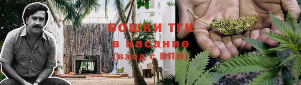 прущая мука Алзамай